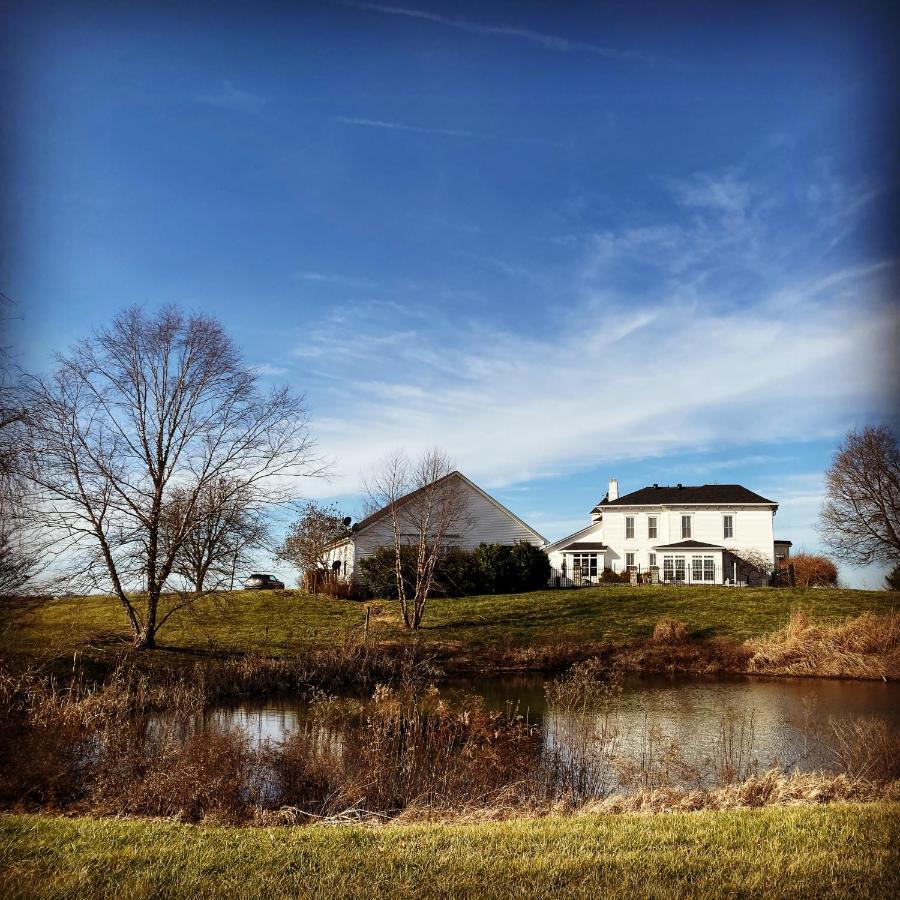 Wildflower Ranch Inn Springfield Екстер'єр фото